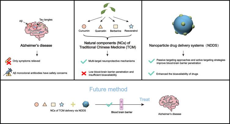 https://cdn.ncbi.nlm.nih.gov/pmc/blobs/87c3/12182090/83d5e432a125/IJN-20-7781-g0001.jpg