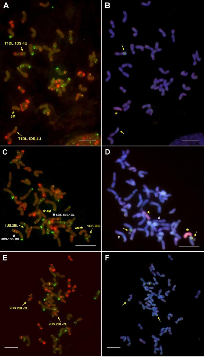 https://cdn.ncbi.nlm.nih.gov/pmc/blobs/87c9/10665447/7be9de02900c/41598_2023_47845_Fig4_HTML.jpg