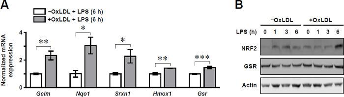 https://cdn.ncbi.nlm.nih.gov/pmc/blobs/87ca/11620681/3d082ce23786/pone.0309886.g002.jpg