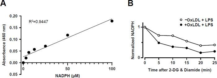 https://cdn.ncbi.nlm.nih.gov/pmc/blobs/87ca/11620681/d1f91f60fbda/pone.0309886.g003.jpg
