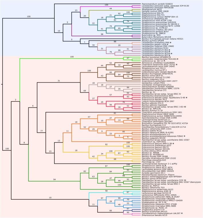 https://cdn.ncbi.nlm.nih.gov/pmc/blobs/87cb/7132975/5a935d88a1df/12866_2020_1772_Fig2_HTML.jpg