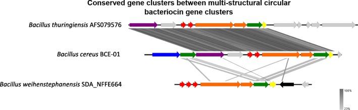 https://cdn.ncbi.nlm.nih.gov/pmc/blobs/87cb/7132975/c88741e16c8d/12866_2020_1772_Fig5_HTML.jpg