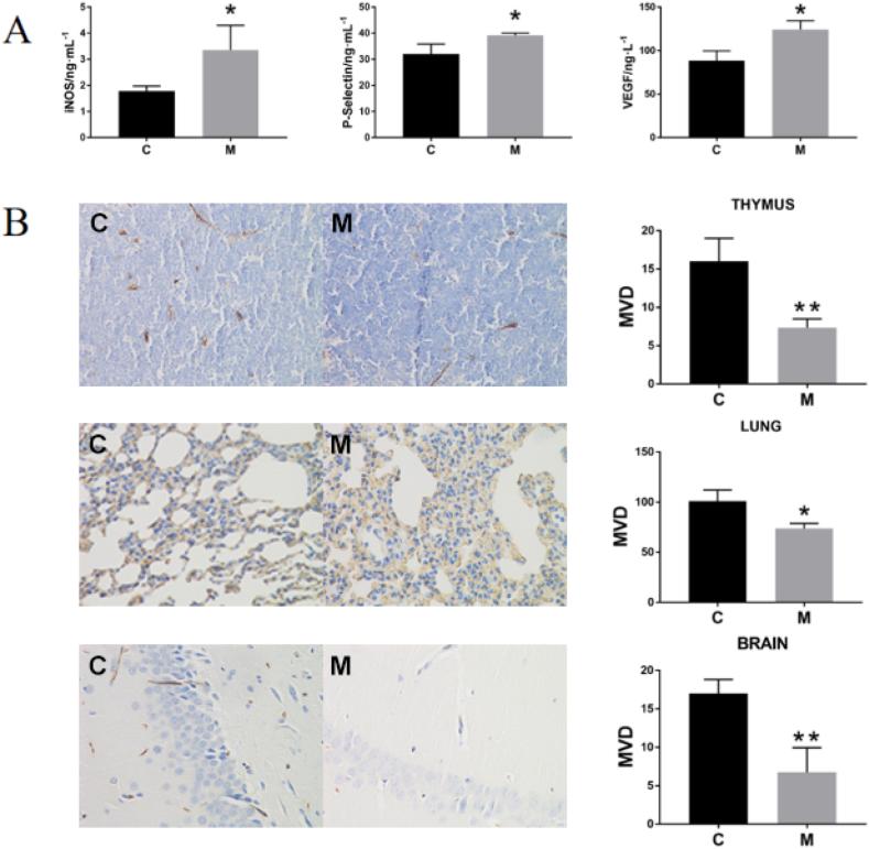 https://cdn.ncbi.nlm.nih.gov/pmc/blobs/87cd/11108815/e759521315cd/gr2.jpg