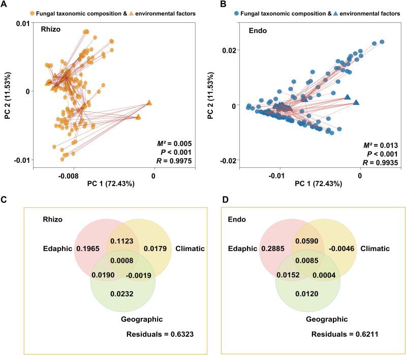 https://cdn.ncbi.nlm.nih.gov/pmc/blobs/87ce/11996911/18719280ee83/fpls-16-1549173-g005.jpg