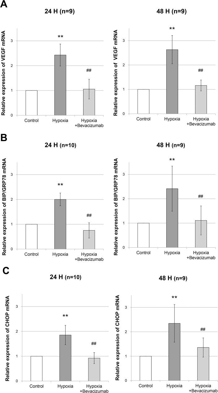 https://cdn.ncbi.nlm.nih.gov/pmc/blobs/87ce/5462411/76d95239356c/pone.0179048.g005.jpg