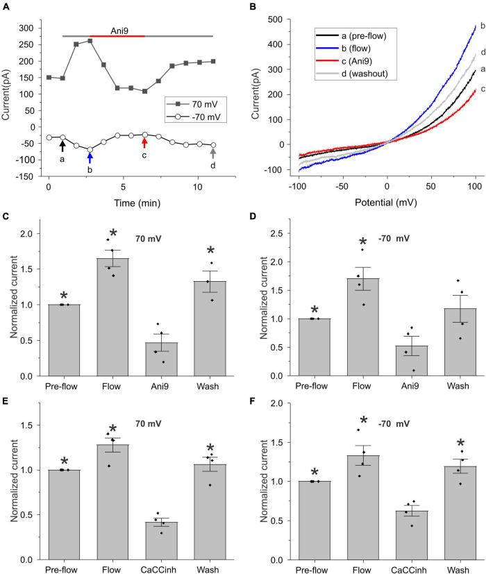 https://cdn.ncbi.nlm.nih.gov/pmc/blobs/87ce/8842795/feab6cbc84ff/fphys-13-814651-g002.jpg