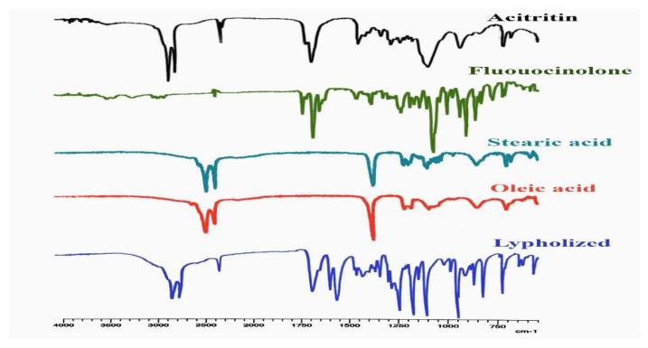 https://cdn.ncbi.nlm.nih.gov/pmc/blobs/87ce/9689900/1c974ba428c2/gels-08-00746-g006.jpg