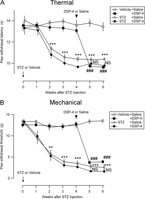 https://cdn.ncbi.nlm.nih.gov/pmc/blobs/87d1/4222693/e39b546509f2/1744-8069-9-59-2.jpg