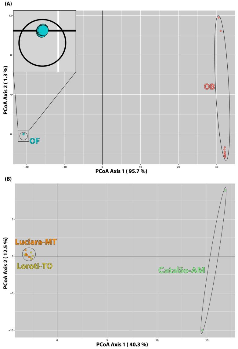 https://cdn.ncbi.nlm.nih.gov/pmc/blobs/87d1/6771150/429eaeca8164/genes-10-00693-g004.jpg