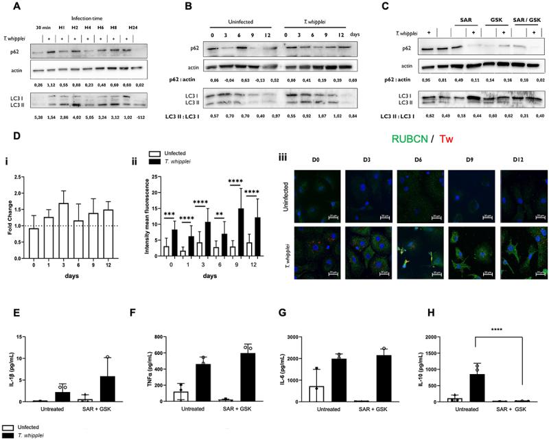 https://cdn.ncbi.nlm.nih.gov/pmc/blobs/87d3/11921966/7b148f9af50c/KAUO_A_2475527_F0005_OC.jpg