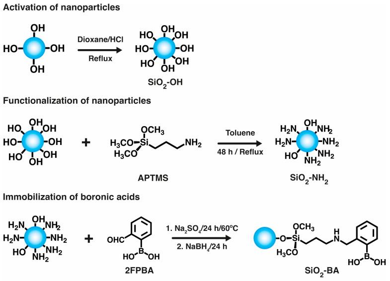 https://cdn.ncbi.nlm.nih.gov/pmc/blobs/87d7/11507314/74572bac6c4a/gels-10-00638-g001.jpg