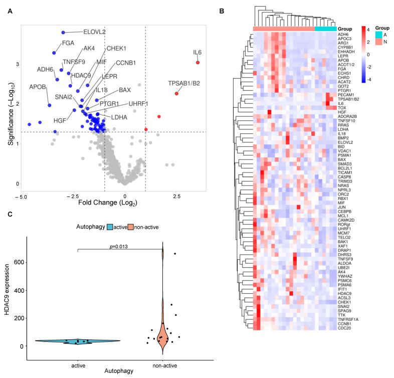 https://cdn.ncbi.nlm.nih.gov/pmc/blobs/87da/10486413/a5912786eb9b/cancers-15-04322-g003.jpg