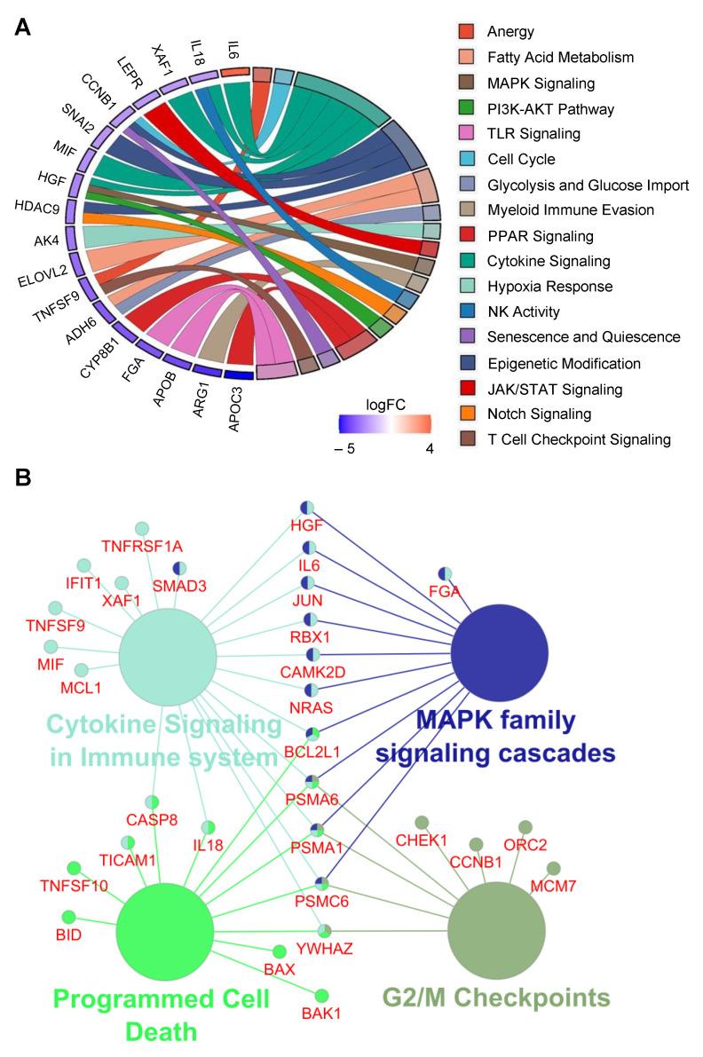 https://cdn.ncbi.nlm.nih.gov/pmc/blobs/87da/10486413/af18f39122d7/cancers-15-04322-g005.jpg