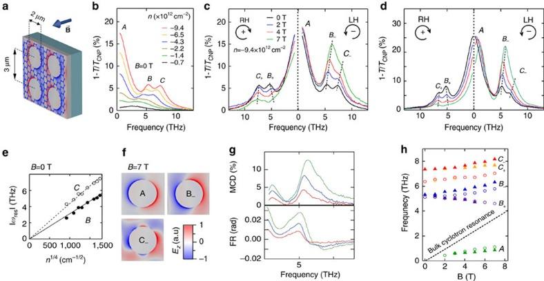 https://cdn.ncbi.nlm.nih.gov/pmc/blobs/87dc/5344301/b5273687caa5/ncomms14626-f3.jpg