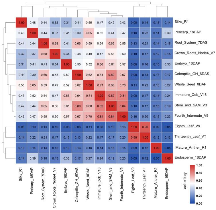 https://cdn.ncbi.nlm.nih.gov/pmc/blobs/87dc/8267723/726c9352650b/ijms-22-06877-g004.jpg