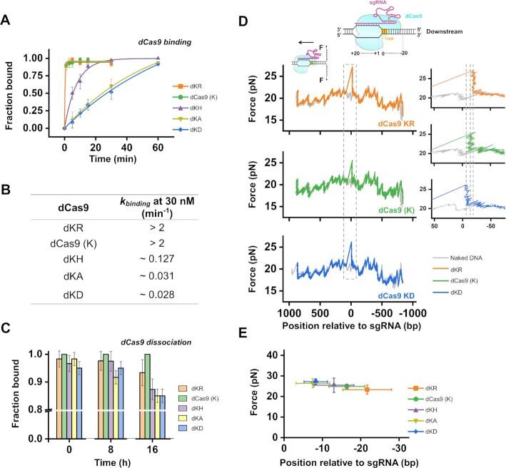 https://cdn.ncbi.nlm.nih.gov/pmc/blobs/87dd/8643646/3cd34584125e/gkab1139fig2.jpg