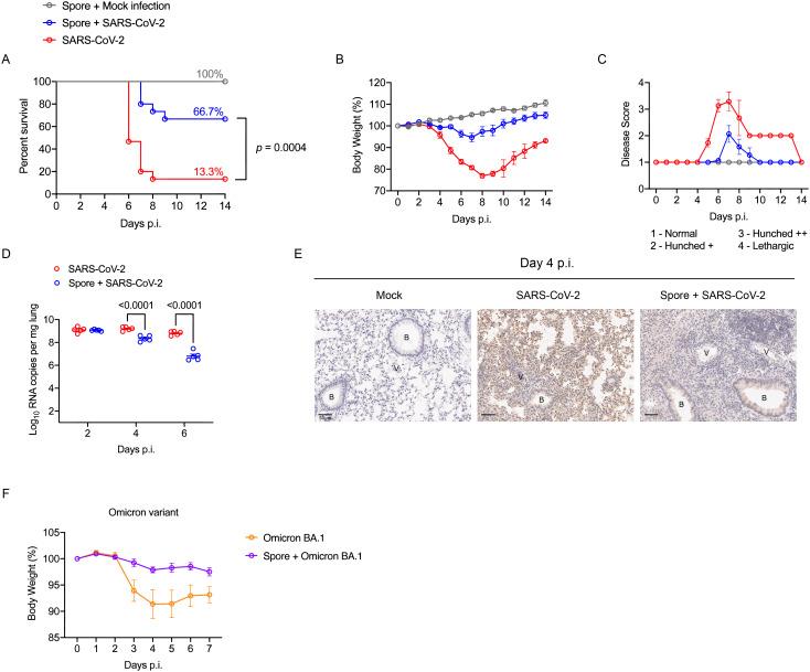 https://cdn.ncbi.nlm.nih.gov/pmc/blobs/87e0/12000887/9cf39aa35f3f/fimmu-16-1501907-g002.jpg