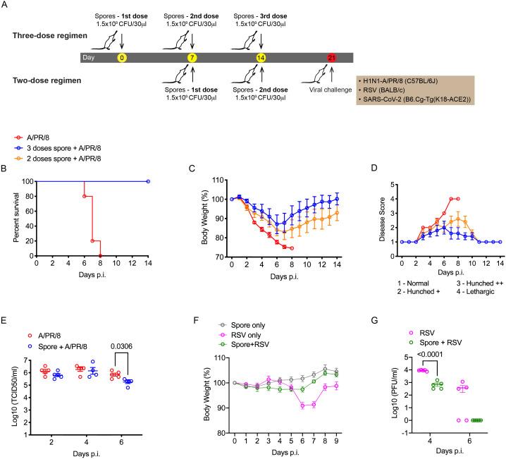 https://cdn.ncbi.nlm.nih.gov/pmc/blobs/87e0/12000887/c923d8ccc6f3/fimmu-16-1501907-g001.jpg