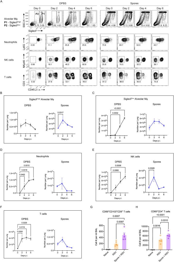 https://cdn.ncbi.nlm.nih.gov/pmc/blobs/87e0/12000887/cde193bf9fdb/fimmu-16-1501907-g004.jpg