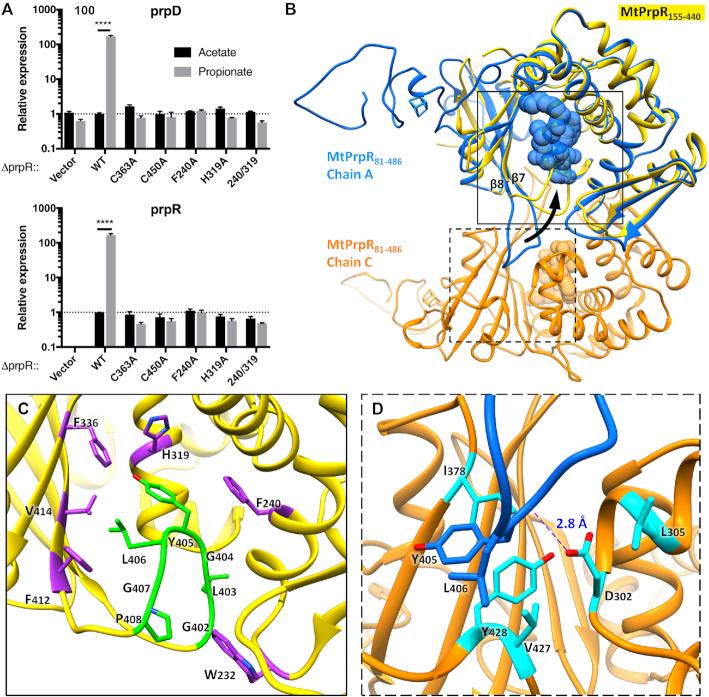 https://cdn.ncbi.nlm.nih.gov/pmc/blobs/87e1/6765138/337002863145/gkz724fig3.jpg