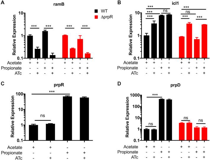 https://cdn.ncbi.nlm.nih.gov/pmc/blobs/87e1/6765138/7937b81ccb5d/gkz724fig6.jpg