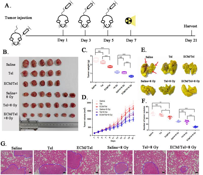 https://cdn.ncbi.nlm.nih.gov/pmc/blobs/87e3/10878400/f2315744ca66/IJN-19-1487-g0007.jpg