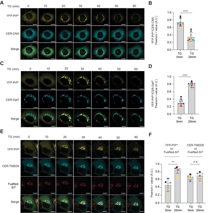 https://cdn.ncbi.nlm.nih.gov/pmc/blobs/87e5/12052135/1201fd118f49/pbio.3003084.g001.jpg