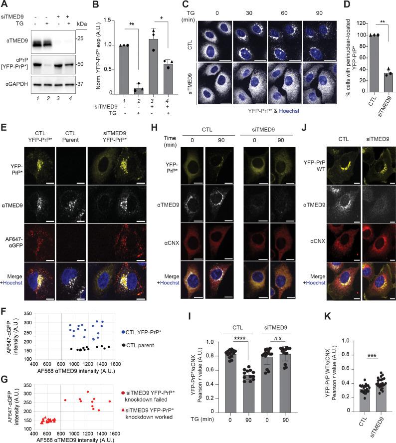 https://cdn.ncbi.nlm.nih.gov/pmc/blobs/87e5/12052135/fd49551e4957/pbio.3003084.g003.jpg