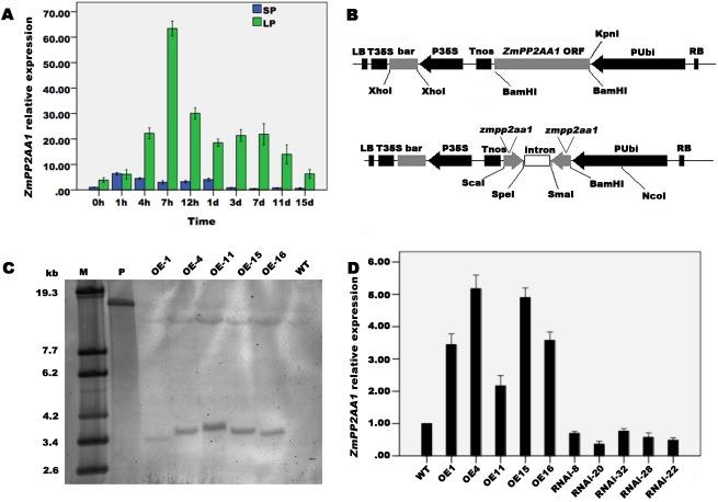 https://cdn.ncbi.nlm.nih.gov/pmc/blobs/87e5/5407761/f22066a93437/pone.0176538.g002.jpg