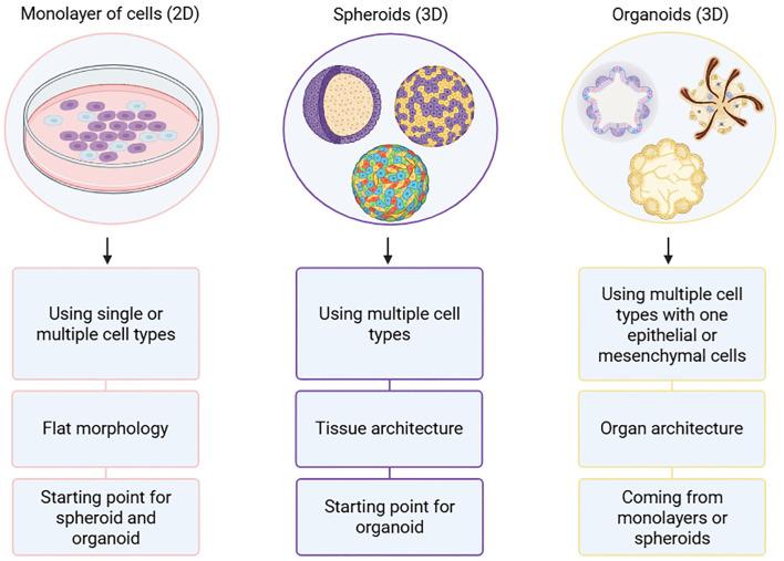 https://cdn.ncbi.nlm.nih.gov/pmc/blobs/87e8/12289599/ef8b76a1947b/fimmu-16-1626369-g004.jpg