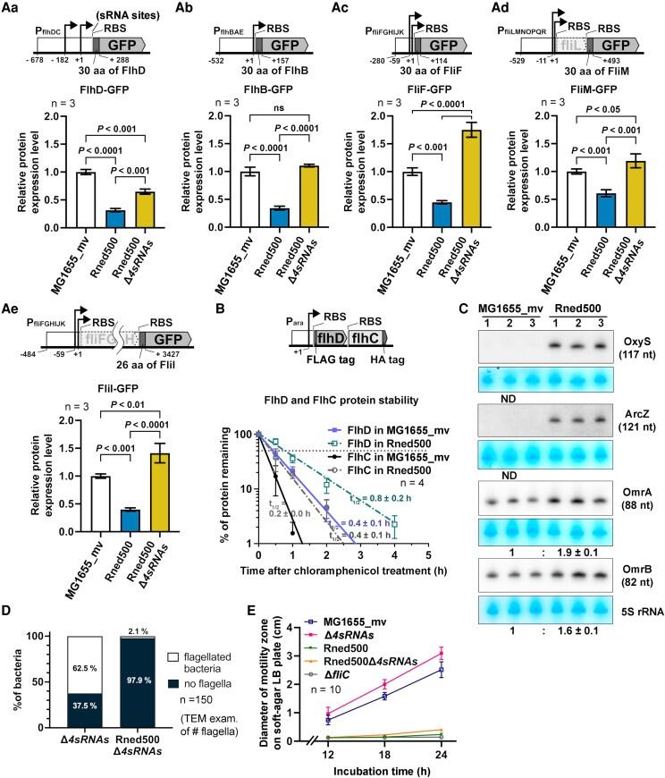 https://cdn.ncbi.nlm.nih.gov/pmc/blobs/87e8/12399333/79a8a7e2e1cf/pgaf269f5.jpg
