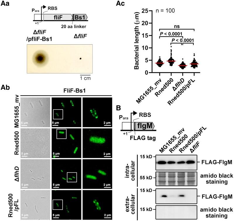 https://cdn.ncbi.nlm.nih.gov/pmc/blobs/87e8/12399333/846dc6353387/pgaf269f6.jpg