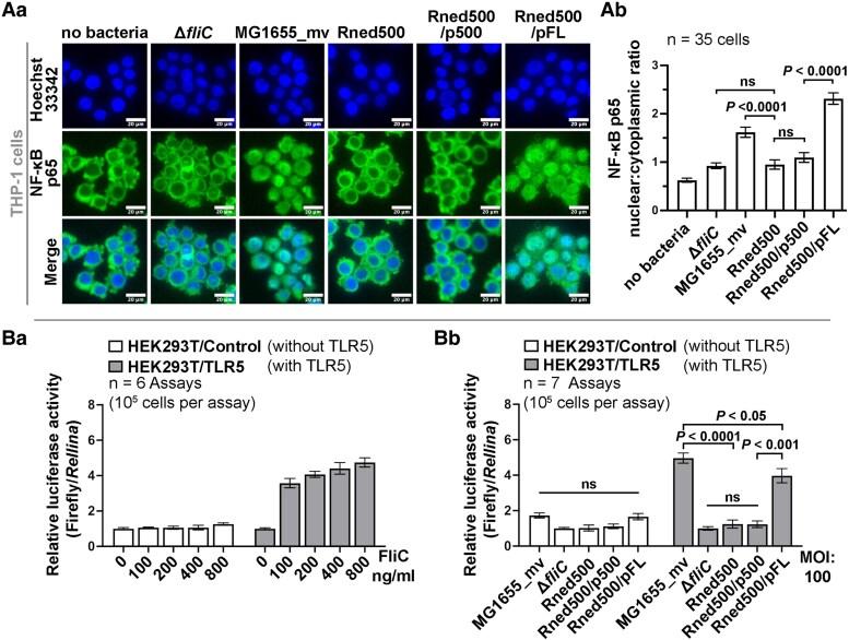 https://cdn.ncbi.nlm.nih.gov/pmc/blobs/87e8/12399333/8ba6934d5228/pgaf269f3.jpg