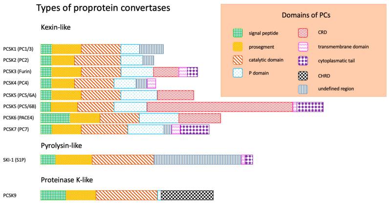 https://cdn.ncbi.nlm.nih.gov/pmc/blobs/87e8/8951079/b2826198c41d/metabolites-12-00256-g001.jpg