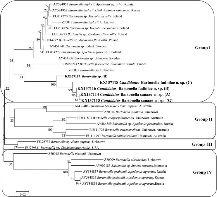 https://cdn.ncbi.nlm.nih.gov/pmc/blobs/87ea/5512320/22fd573be100/fig-3.jpg