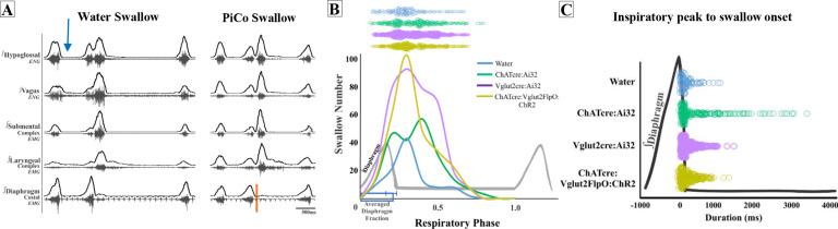 https://cdn.ncbi.nlm.nih.gov/pmc/blobs/87eb/10264072/45b59c1ca1e0/elife-86103-fig4.jpg