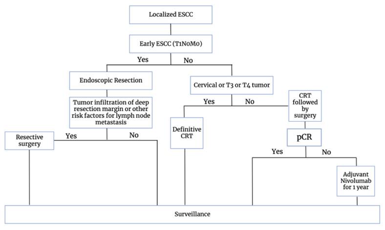 https://cdn.ncbi.nlm.nih.gov/pmc/blobs/87f0/10813716/b4beeb04baee/cancers-16-00318-g003.jpg