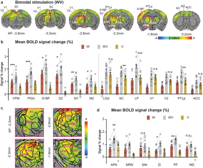 https://cdn.ncbi.nlm.nih.gov/pmc/blobs/87f1/10943206/e2b3082f8bd4/41598_2024_56305_Fig2_HTML.jpg