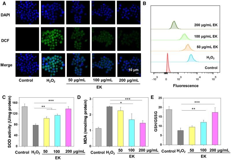 https://cdn.ncbi.nlm.nih.gov/pmc/blobs/87f2/11558062/26cf0e124539/rbae122f3.jpg