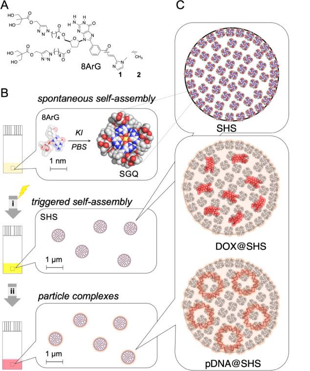 https://cdn.ncbi.nlm.nih.gov/pmc/blobs/87f5/12284859/45ef2dc9d888/mt5c00201_0002.jpg