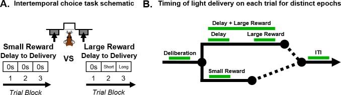 https://cdn.ncbi.nlm.nih.gov/pmc/blobs/87f5/6530979/9dfa1c833205/elife-46174-fig1.jpg