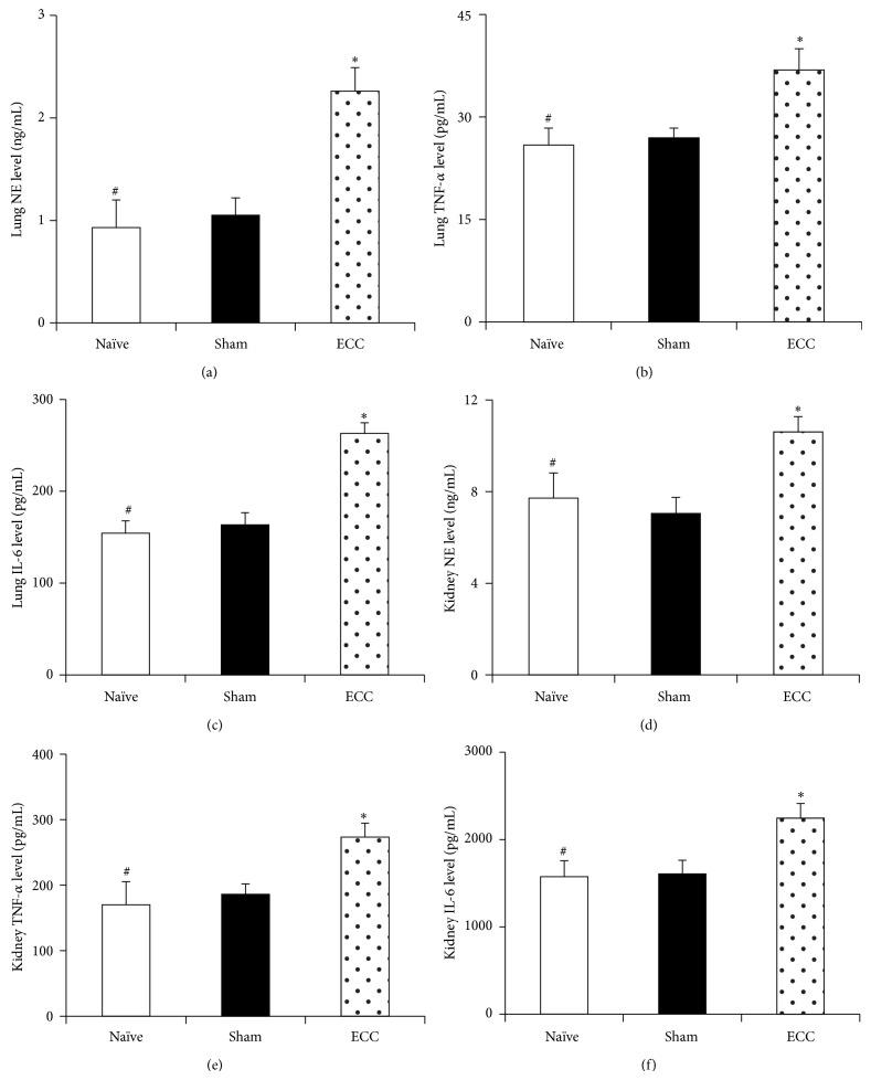 https://cdn.ncbi.nlm.nih.gov/pmc/blobs/87f6/4325217/518ba21259e0/MI2015-412319.003.jpg