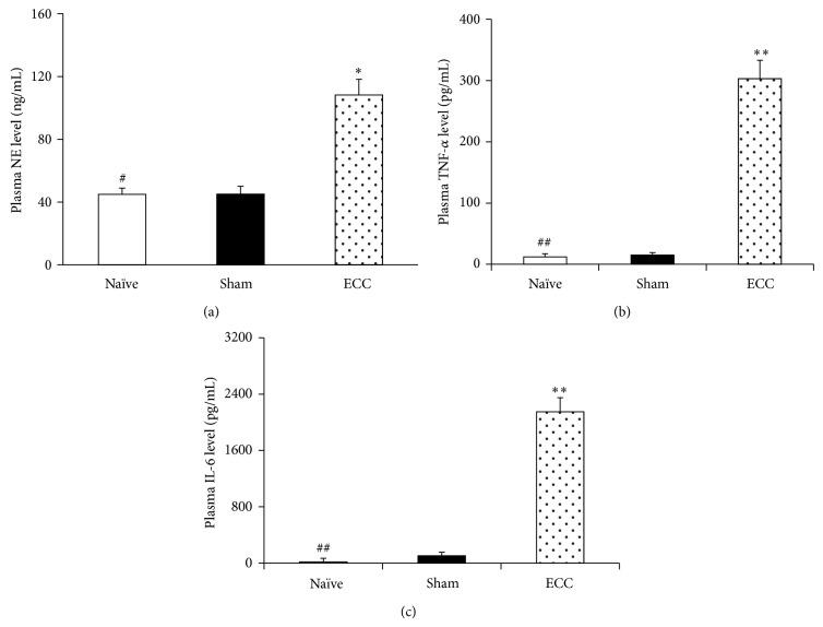 https://cdn.ncbi.nlm.nih.gov/pmc/blobs/87f6/4325217/d46bc133acce/MI2015-412319.002.jpg