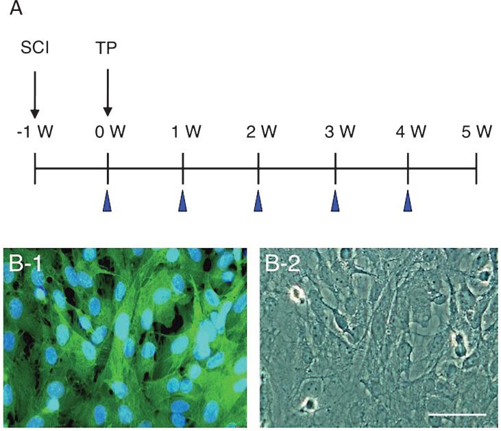 https://cdn.ncbi.nlm.nih.gov/pmc/blobs/87f6/4927912/956ae893684c/rnn-34-rnn150546-g001.jpg