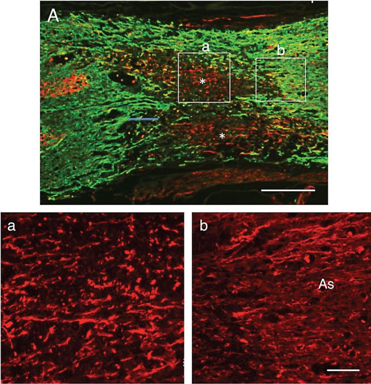 https://cdn.ncbi.nlm.nih.gov/pmc/blobs/87f6/4927912/e227bb8143c7/rnn-34-rnn150546-g009.jpg