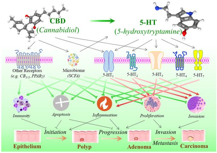 https://cdn.ncbi.nlm.nih.gov/pmc/blobs/87f7/12293229/8e2b6d08e342/curroncol-32-00375-g003.jpg