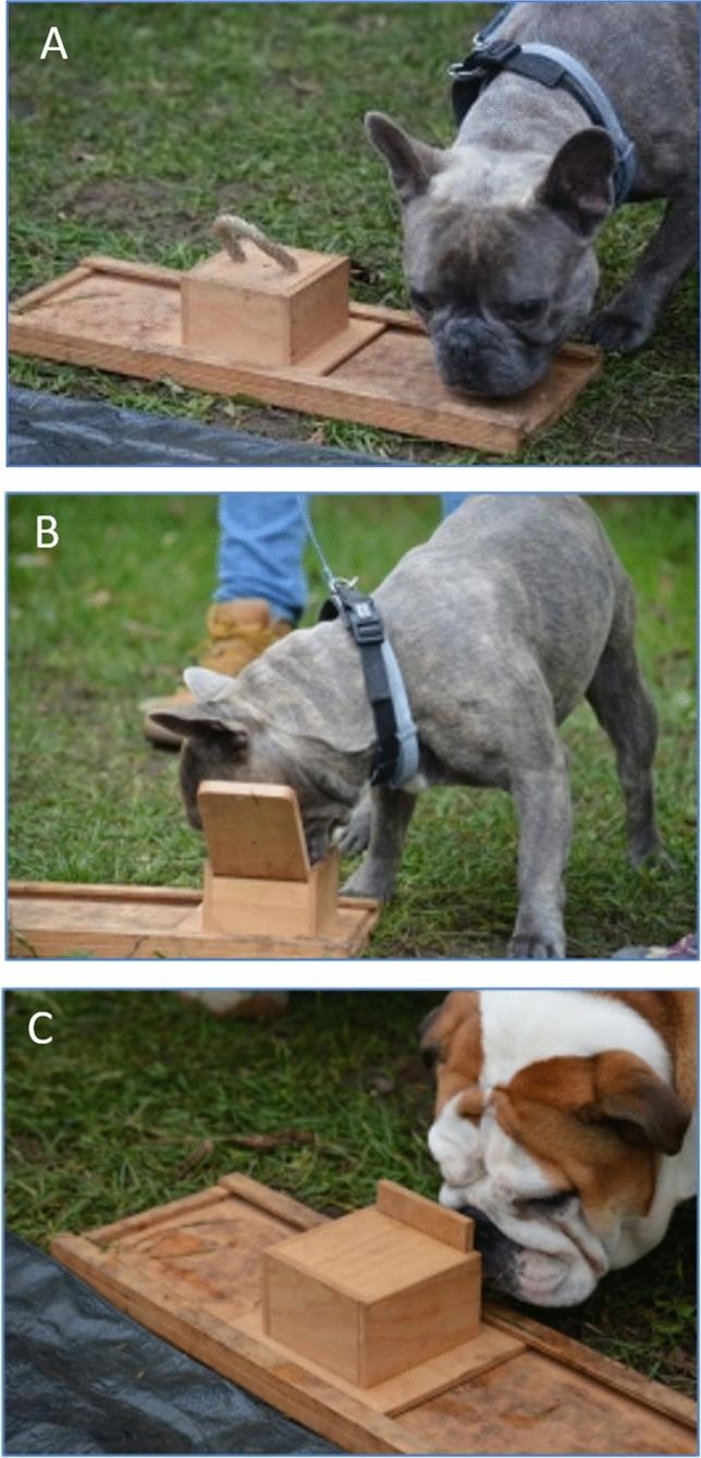 https://cdn.ncbi.nlm.nih.gov/pmc/blobs/87f9/10514333/69695e65bc5c/41598_2023_41229_Fig1_HTML.jpg
