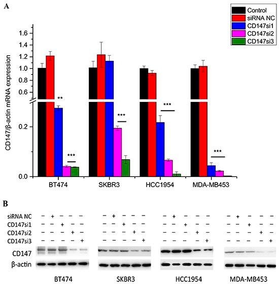 https://cdn.ncbi.nlm.nih.gov/pmc/blobs/87f9/5295386/6be7605cc4b7/oncotarget-07-57737-g003.jpg
