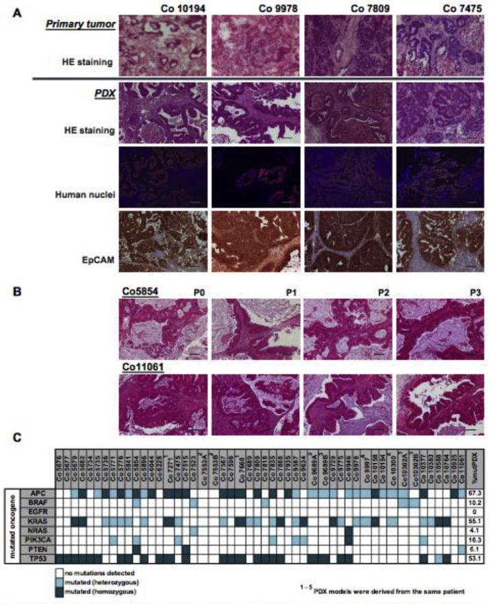 https://cdn.ncbi.nlm.nih.gov/pmc/blobs/87f9/7680704/1ced811771ee/gr1.jpg