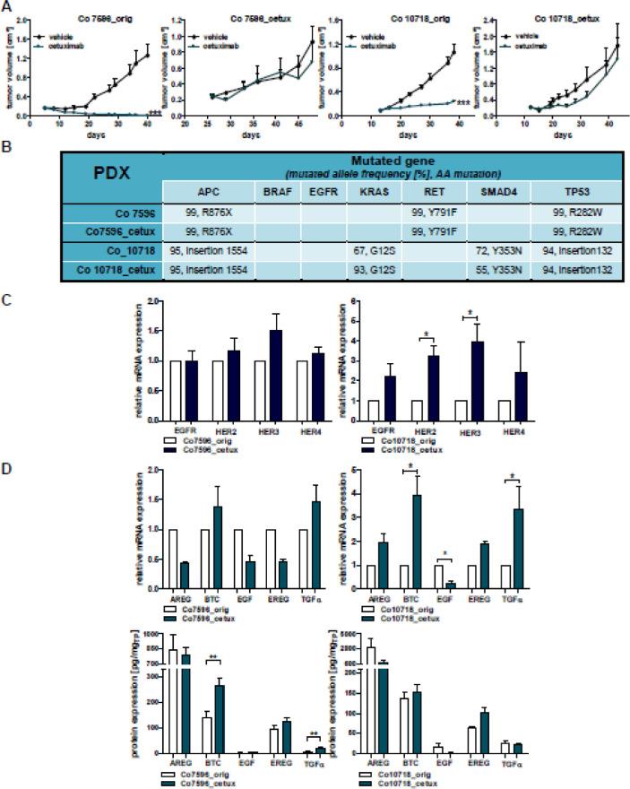 https://cdn.ncbi.nlm.nih.gov/pmc/blobs/87f9/7680704/f3837605810b/gr5.jpg